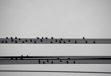 Co to jest podsumowanie zawodowe?