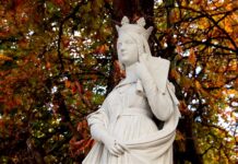 Co to są należności własne?