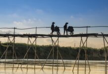 Czy linki mają wpływ na pozycję?