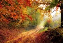 Ile dni w roku pracy zdalnej? Ile dni w roku pracy zdalnej?