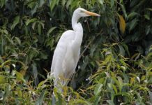 Dlaczego warto mieszkać za granicą?