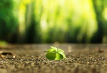 Jak znaleźć słowa kluczowe w tekście?